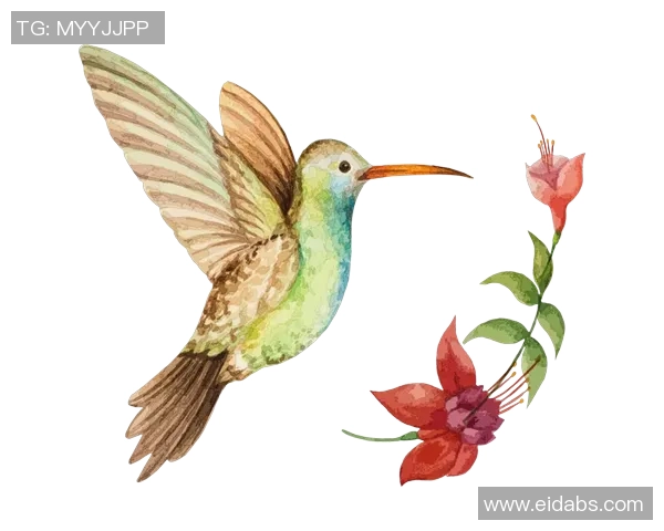 创意手绘足球明星贴纸素材大全让你的收藏更具个性与魅力 创意手绘足球明星贴纸素材大全让你的收藏更具个性与魅力