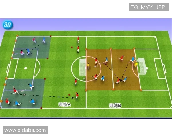 成都足球队的个人能力揭秘与战术分析全景探讨