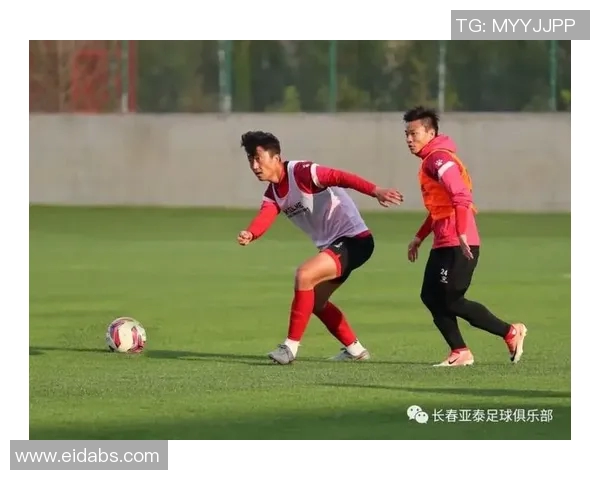 武汉网球队防反战术解析与实战应用探讨