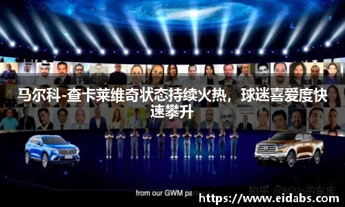 马尔科-查卡莱维奇状态持续火热，球迷喜爱度快速攀升